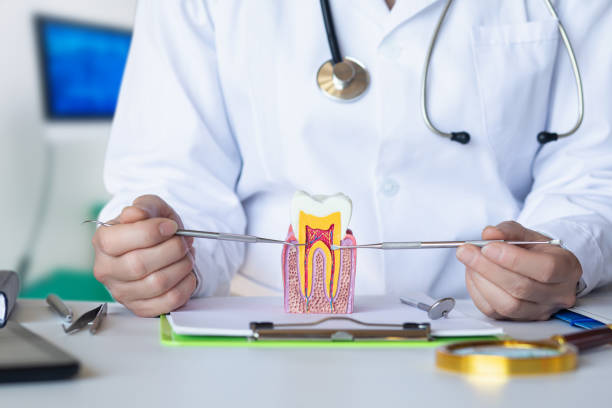 Best Pediatric Emergency Dentist in Ballwin, MO